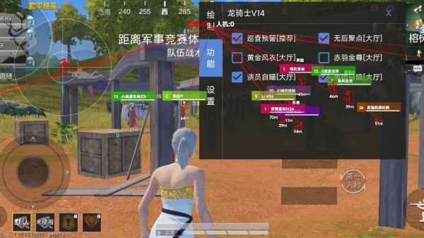 突破游戏界限：探索和平精英辅助工具的神秘世